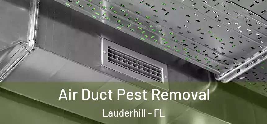  Air Duct Pest Removal Lauderhill - FL