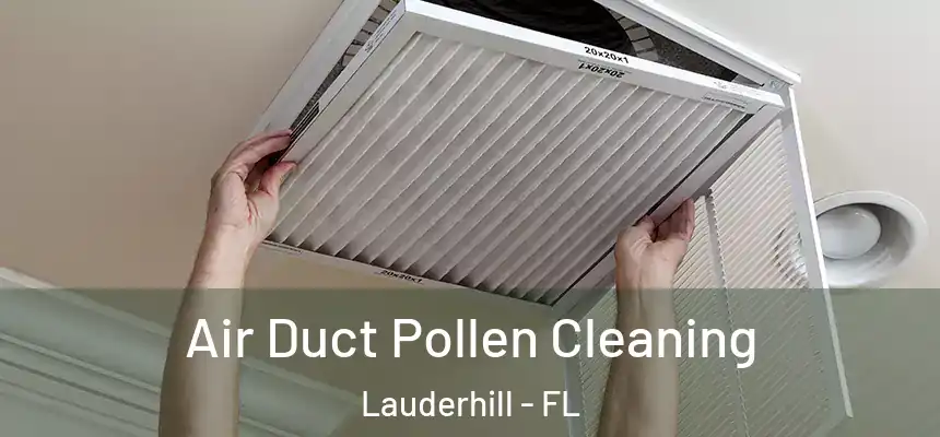  Air Duct Pollen Cleaning Lauderhill - FL