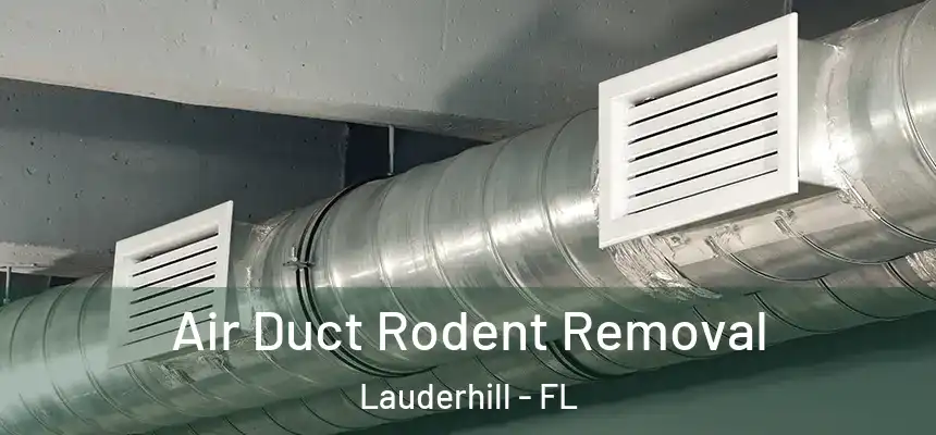  Air Duct Rodent Removal Lauderhill - FL