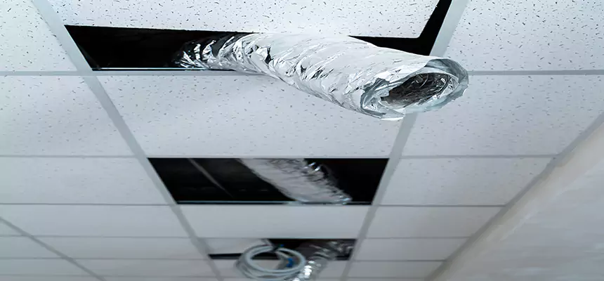 Affordable HVAC Sanitizing After Pest Removal in Lauderhill