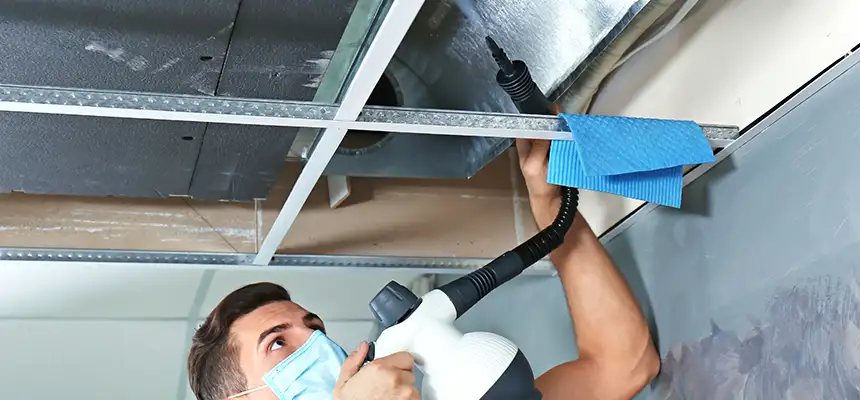 Our Air Duct Rodent Removal Services in Lauderhill, FL