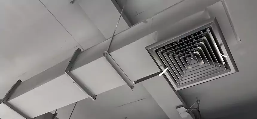 Our Rodent Droppings In Vents Services in Lauderhill, FL