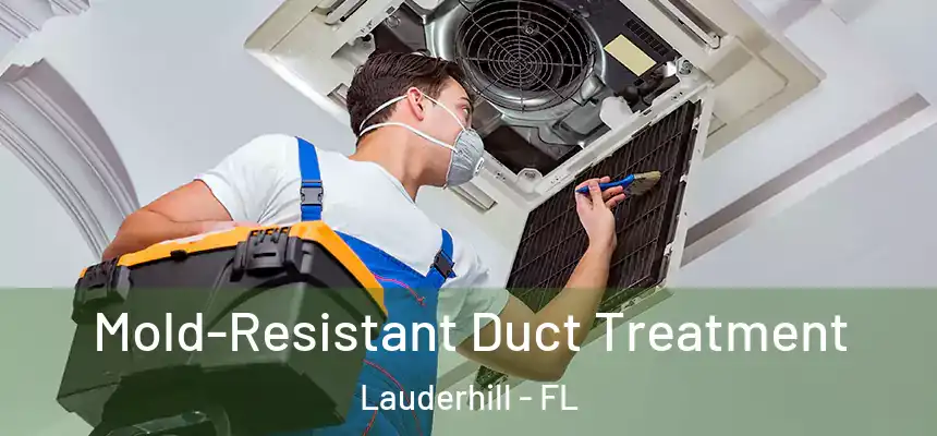  Mold-Resistant Duct Treatment Lauderhill - FL