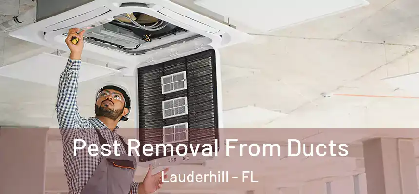  Pest Removal From Ducts Lauderhill - FL