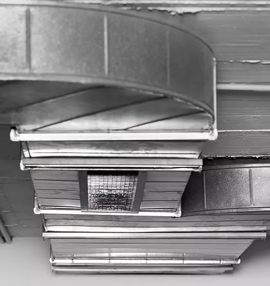 Professional Air Duct Pest Removal in Lauderhill, FL