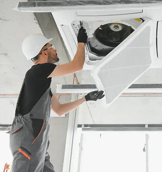 About Air Duct Rodent Removal in Lauderhill, FL