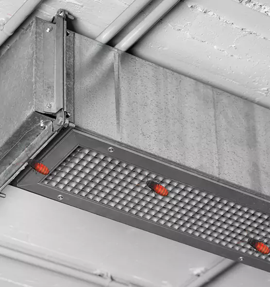 Affordable Insect Removal from Air Ducts in Lauderhill, FL
